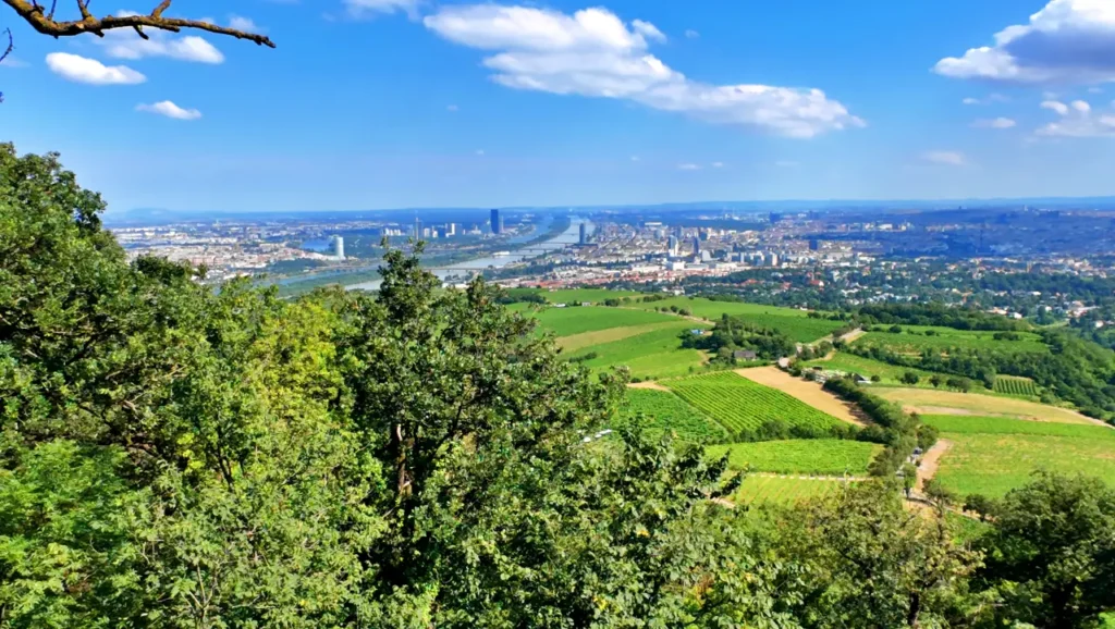 Danube river from Kahlenberg 